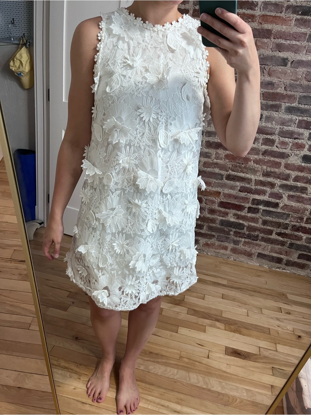 Eri + Ali Daisy Lace Shift Dress from Anthropologie